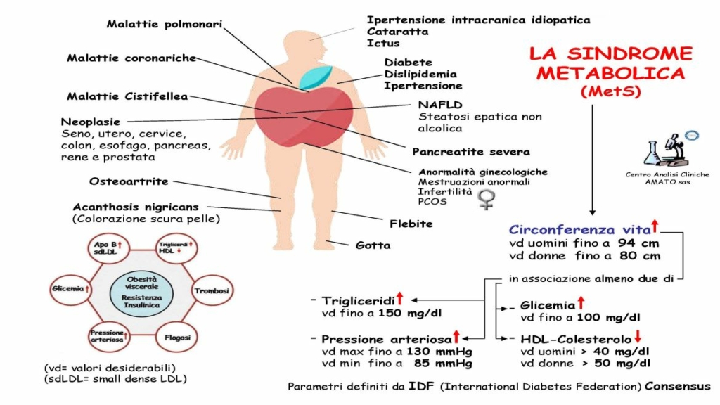 sindrome metabolica